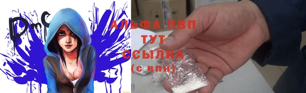 эйфоретик Новодвинск