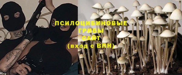 эйфоретик Новодвинск