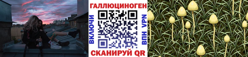Галлюциногенные грибы мухоморы  Ядрин 